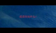 成语自如什么