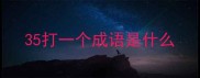 35打一个成语是什么