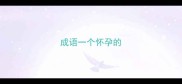 成语一个怀孕的