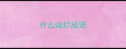 什么灿烂成语