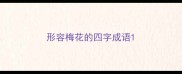 形容梅花的四字成语