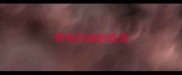 带有羽仙的成语