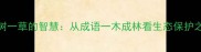 一树一草的智慧从成语一木成林看生态保护之道