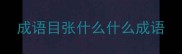 成语目张什么什么成语