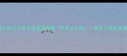 形容体型小的10个四字成语及详细附用法示例体型小相关的成语大全