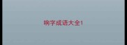 响字成语大全