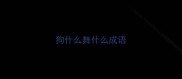 狗什么舞什么成语