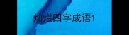 灿烂四字成语