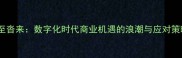 纷至沓来数字化时代商业机遇的浪潮与应对策略
