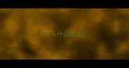 牛马什么成语
