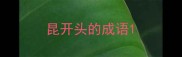 昆开头的成语