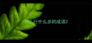 什么行什么步的成语