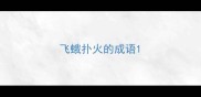飞蛾扑火的成语