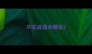 华实成语有哪些