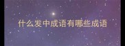 什么发中成语有哪些成语