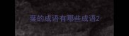 葉的成语有哪些成语
