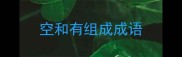 空和有组成成语