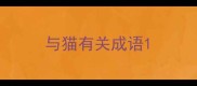 与猫有关成语