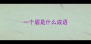 一个眉是什么成语