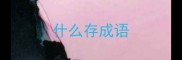 什么存成语