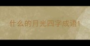 什么的月光四字成语