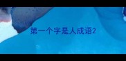 第一个字是人成语