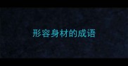 形容身材的成语