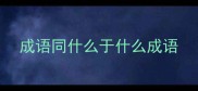 成语同什么于什么成语