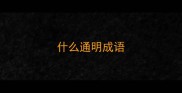 什么通明成语