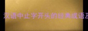 辄止汉语中止字开头的经典成语及用法