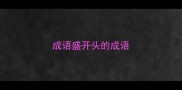 成语盛开头的成语