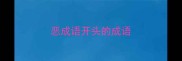 恶成语开头的成语