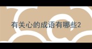 有关心的成语有哪些