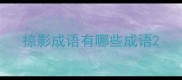 掠影成语有哪些成语