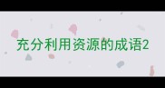 充分利用资源的成语