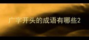 广字开头的成语有哪些