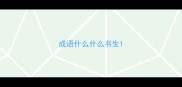成语什么什么书生