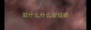 取什么什么宏成语