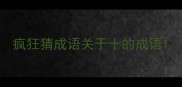 疯狂猜成语关于十的成语
