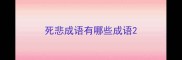 死悲成语有哪些成语