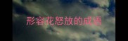 形容花怒放的成语