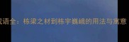 30个含栋字的经典成语全栋梁之材到栋宇巍峨的用法与寓意附深度学习指南