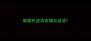 眼睛死成语有哪些成语