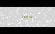 大眼睛成语