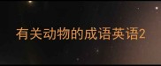 有关动物的成语英语