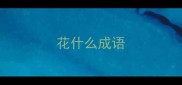 花什么成语
