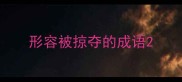 形容被掠夺的成语