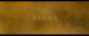 镜子的成语