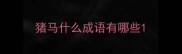 猪马什么成语有哪些