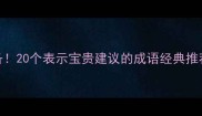 职场晋升必备20个表示宝贵建议的成语经典推荐及使用指南